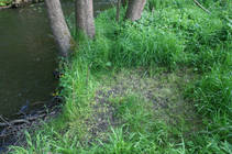 foto/diskuze/z_lovu/2014/th-img107141.jpg