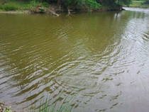 foto/diskuze/z_lovu/2014/th-img107272.jpg
