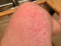 foto/diskuze/z_lovu/2014/th-img107274.jpg