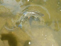 foto/diskuze/z_lovu/2014/th-img107492.jpg