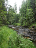 foto/diskuze/z_lovu/2014/th-img107544.jpg