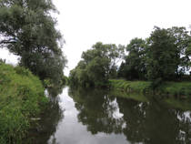 foto/diskuze/z_lovu/2014/th-img107573.jpg