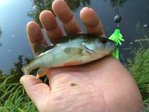 foto/diskuze/z_lovu/2014/th-img107581.jpg