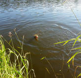 foto/diskuze/z_lovu/2014/th-img107814.jpg