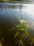 foto/diskuze/z_lovu/2014/th-img107815.jpg