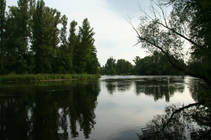 foto/diskuze/z_lovu/2014/th-img107976.jpg