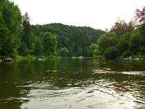 foto/diskuze/z_lovu/2014/th-img108139.jpg