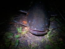 foto/diskuze/z_lovu/2014/th-img108208.jpg
