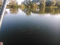 foto/diskuze/z_lovu/2014/th-img108298.jpg