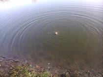 foto/diskuze/z_lovu/2014/th-img108299.jpg