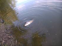 foto/diskuze/z_lovu/2014/th-img108302.jpg
