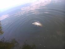 foto/diskuze/z_lovu/2014/th-img108303.jpg