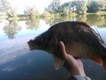 foto/diskuze/z_lovu/2014/th-img108304.jpg
