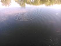 foto/diskuze/z_lovu/2014/th-img108306.jpg