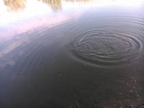 foto/diskuze/z_lovu/2014/th-img108307.jpg
