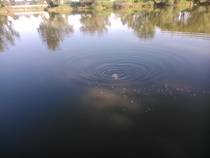foto/diskuze/z_lovu/2014/th-img108310.jpg