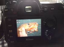 foto/diskuze/z_lovu/2014/th-img108366.jpg