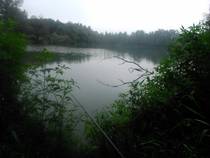 foto/diskuze/z_lovu/2014/th-img108690.jpg