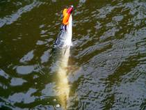 foto/diskuze/z_lovu/2014/th-img108757.jpg