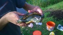 foto/diskuze/z_lovu/2014/th-img108778.jpg