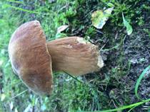 foto/diskuze/z_lovu/2014/th-img108803.jpg