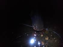foto/diskuze/z_lovu/2014/th-img108890.jpg
