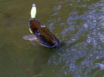 foto/diskuze/z_lovu/2014/th-img108930.jpg