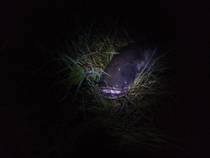 foto/diskuze/z_lovu/2014/th-img108991.jpg