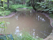 foto/diskuze/z_lovu/2014/th-img109031.jpg