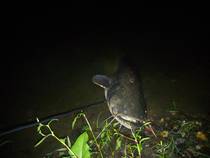 foto/diskuze/z_lovu/2014/th-img109066.jpg