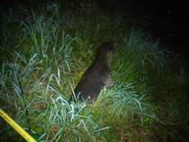 foto/diskuze/z_lovu/2014/th-img109068.jpg