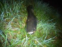 foto/diskuze/z_lovu/2014/th-img109069.jpg