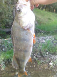 foto/diskuze/z_lovu/2014/th-img109245.jpg