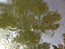 foto/diskuze/z_lovu/2014/th-img109401.jpg