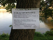 foto/diskuze/z_lovu/2014/th-img109403.jpg