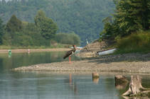 foto/diskuze/z_lovu/2014/th-img109406.jpg