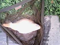 foto/diskuze/z_lovu/2014/th-img109530.jpg