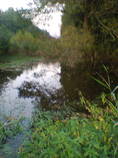foto/diskuze/z_lovu/2014/th-img109602.jpg