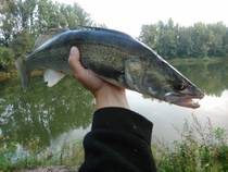 foto/diskuze/z_lovu/2014/th-img109608.jpg