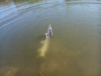 foto/diskuze/z_lovu/2014/th-img109732.jpg