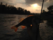 foto/diskuze/z_lovu/2014/th-img109800.jpg