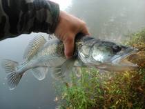 foto/diskuze/z_lovu/2014/th-img109969.jpg