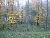 foto/diskuze/z_lovu/2014/th-img110432.jpg
