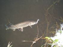 foto/diskuze/z_lovu/2014/th-img110872.jpg