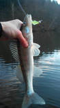 foto/diskuze/z_lovu/2014/th-img110954.jpg