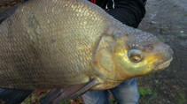 foto/diskuze/z_lovu/2014/th-img110984.jpg