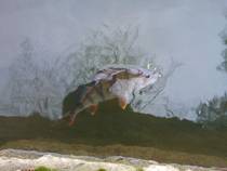 foto/diskuze/z_lovu/2014/th-img111110.jpg