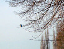 foto/diskuze/z_lovu/2014/th-img111331.jpg