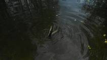 foto/diskuze/z_lovu/2015/th-img113394.jpg