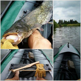 foto/diskuze/z_lovu/2016/th-img119915.jpg